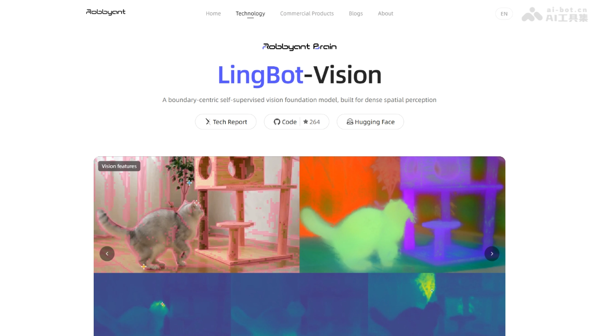 LingBot-Vision