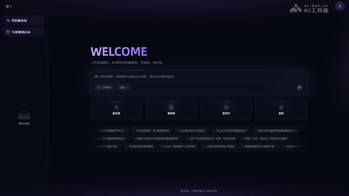 图灵鉴 X